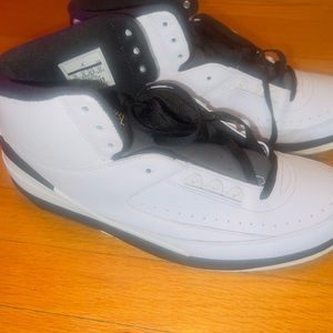 Air Jordan 2 Wing It sz13